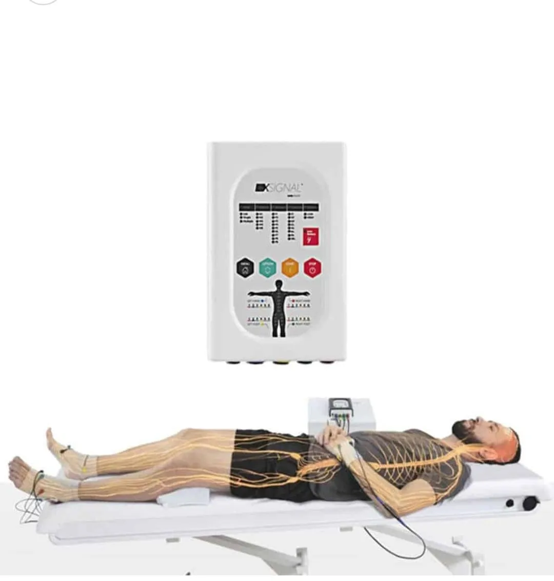 Equipo de NESA en nuestra clínica de fisioterapia